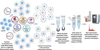 FASTMAP—a flexible and scalable immunopeptidomics pipeline for HLA- and antigen-specific T-cell epitope mapping based on artificial antigen-presenting cells